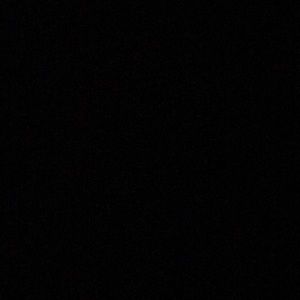 Meet your Posher, Lexie